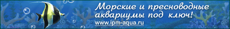Анимированный gif баннер для рекламы аквариумов